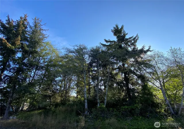 Photo 4 of Land for sale at 364 Duck Lake Dr SE, Ocean Shores, WA 98569 | MLS# NWM2580198 | Listing updated on 2026-09-25