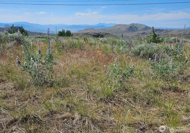 Photo 1 of Land for sale at 716 X Havillah Rd, Tonasket, WA 98855 | MLS# NWM2580273 | Listing updated on 2026-09-25