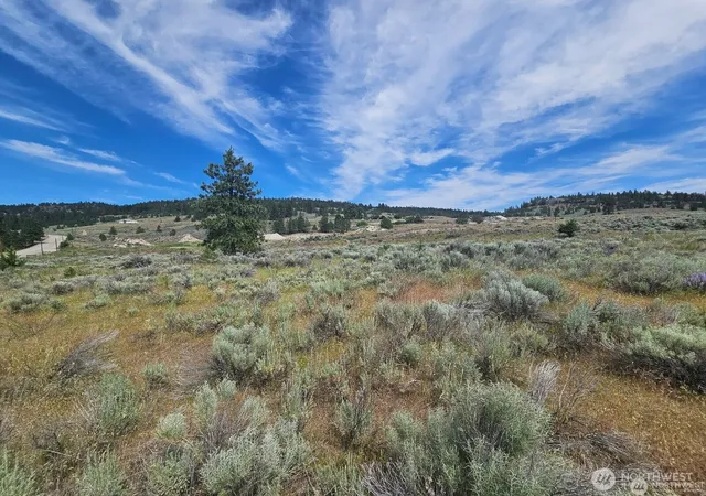 Photo 2 of Land for sale at 716 X Havillah Rd, Tonasket, WA 98855 | MLS# NWM2580273 | Listing updated on 2026-09-25