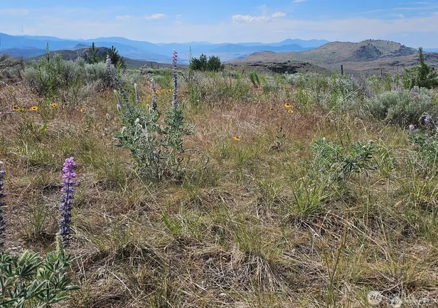 Photo 3 of Land for sale at 716 X Havillah Rd, Tonasket, WA 98855 | MLS# NWM2580273 | Listing updated on 2026-09-25