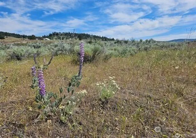 Photo 3 of Land for sale at 716 X Havillah Rd, Tonasket, WA 98855 | MLS# NWM2580273 | Listing updated on 2026-09-25