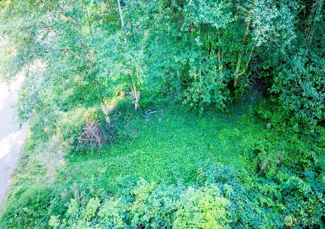 Photo 2 of Land for sale at 141 Ne Steelhead Dr N, Belfair, WA 98528 | MLS# NWM2580324 | Listing updated on 2026-09-30