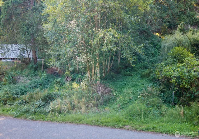 Photo 3 of Land for sale at 141 Ne Steelhead Dr N, Belfair, WA 98528 | MLS# NWM2580324 | Listing updated on 2026-09-30