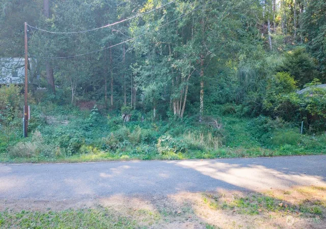 Photo 3 of Land for sale at 141 NE Steelhead Dr N, Belfair, WA 98528 | MLS# NWM2580324 | Listing updated on 2026-09-30