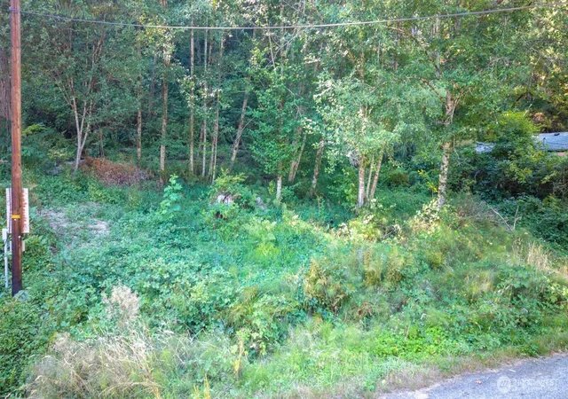 Photo 4 of Land for sale at 141 NE Steelhead Dr N, Belfair, WA 98528 | MLS# NWM2580324 | Listing updated on 2026-09-30