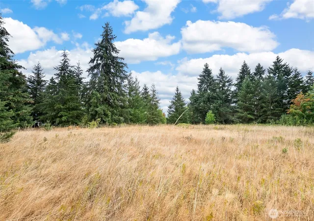 Photo 1 of Sale Pending at 0 Case Rd Sw, Rochester, WA 98579 | MLS# NWM2580340 | Listing updated on 2026-10-01