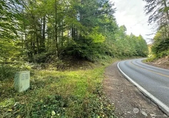 Photo 3 of Land for sale at 1085 N Lake Cushman Rd, Hoodsport, WA 98548 | MLS# NWM2580530 | Listing updated on 2026-09-25