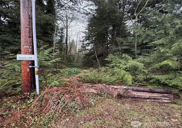 Photo 2 of Land for sale at 12313 Ne 150th Street, Arlington, WA 98223 | MLS# NWM2580622 | Listing updated on 2026-09-25