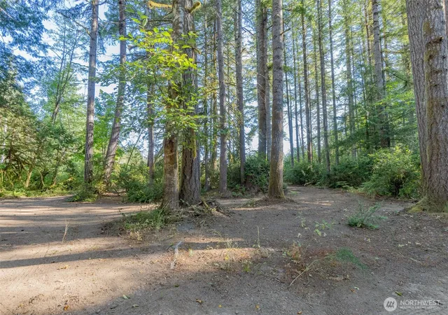 Photo 3 of Sale Pending at 0 Xxxx, Shelton, WA 98584 | MLS# NWM2580871 | Listing updated on 2026-09-26