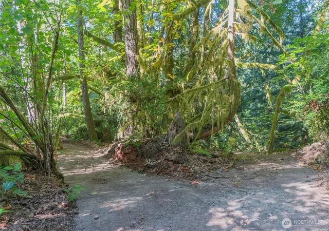 Photo 3 of Sale Pending at 0 Xxxx, Shelton, WA 98584 | MLS# NWM2580871 | Listing updated on 2026-09-26