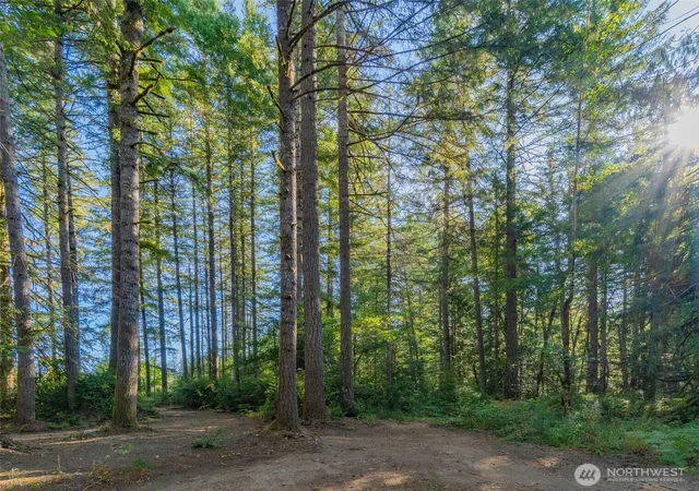 Photo 4 of Sale Pending at 0 Xxxx, Shelton, WA 98584 | MLS# NWM2580871 | Listing updated on 2026-09-26