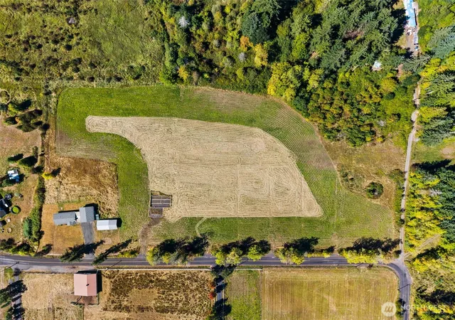 Photo 3 of Land for sale at 159 Taylor Rd, Chehalis, WA 98532 | MLS# NWM2581012 | Listing updated on 2026-09-25