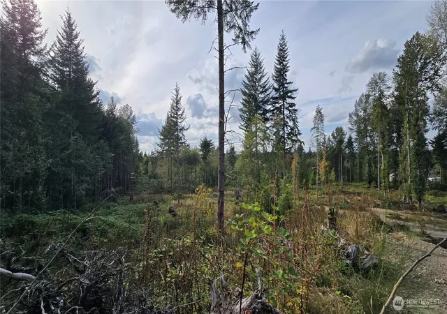 Photo 2 of Land for sale at 27009 170th Street E, Buckley, WA 98321 | MLS# NWM2581038 | Listing updated on 2026-09-28