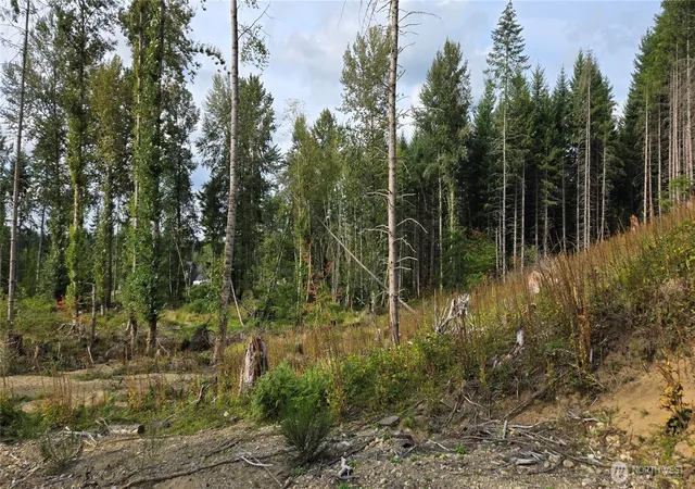 Photo 3 of Land for sale at 27009 170th Street E, Buckley, WA 98321 | MLS# NWM2581038 | Listing updated on 2026-09-28