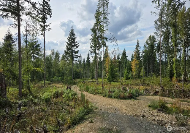 Photo 3 of Land for sale at 27009 170th Street E, Buckley, WA 98321 | MLS# NWM2581038 | Listing updated on 2026-09-28