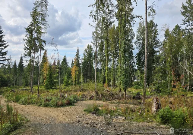 Photo 4 of Land for sale at 27009 170th Street E, Buckley, WA 98321 | MLS# NWM2581038 | Listing updated on 2026-09-28