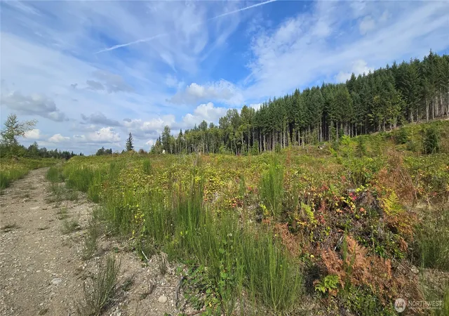 Photo 4 of Sale Pending at 2 Xxxx 170th St E, Buckley, WA 98321 | MLS# NWM2581107 | Listing updated on 2026-10-01