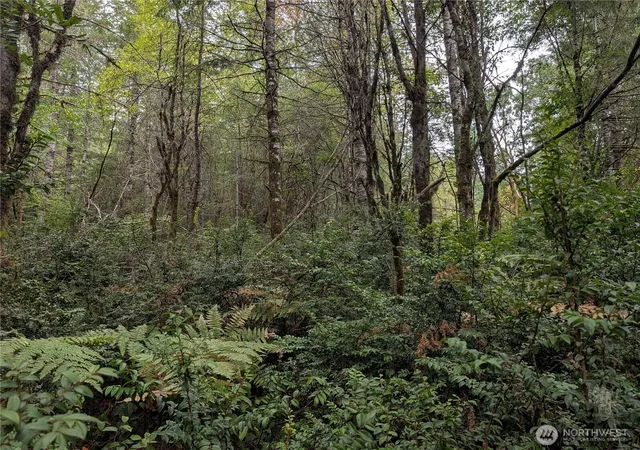 Photo 2 of Land for sale at 714 Webb Rd Sw, Lakebay, WA 98349 | MLS# NWM2581231 | Listing updated on 2026-09-22