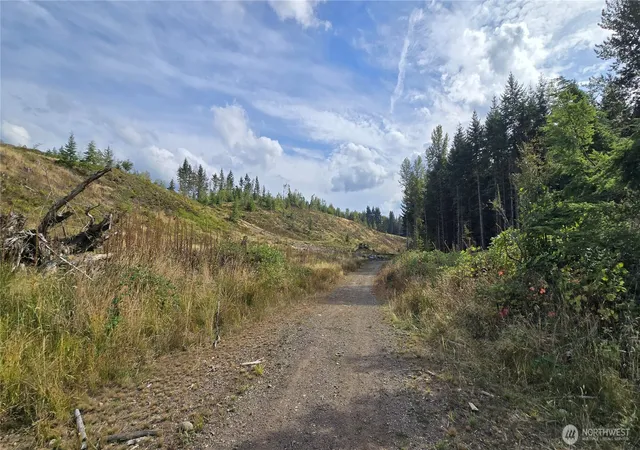 Land for sale at 0 Ap Tubbs Rd, Carbonado, WA 98321 | MLS# NWM2581432