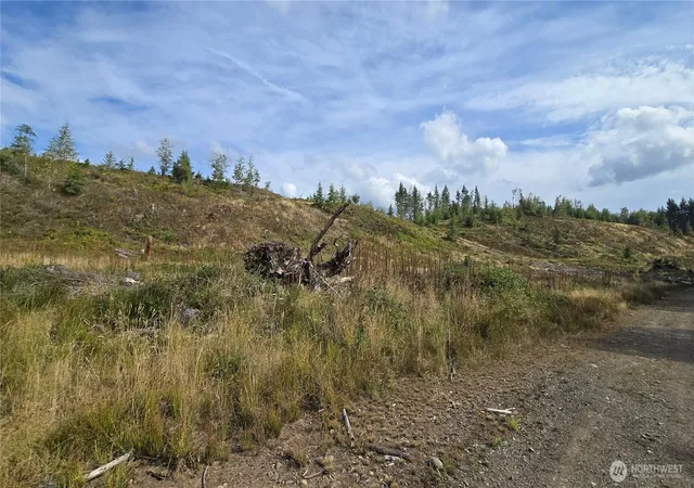 Photo 2 of Land for sale at 0 Ap Tubbs Rd, Carbonado, WA 98321 | MLS# NWM2581432 | Listing updated on 2026-10-01