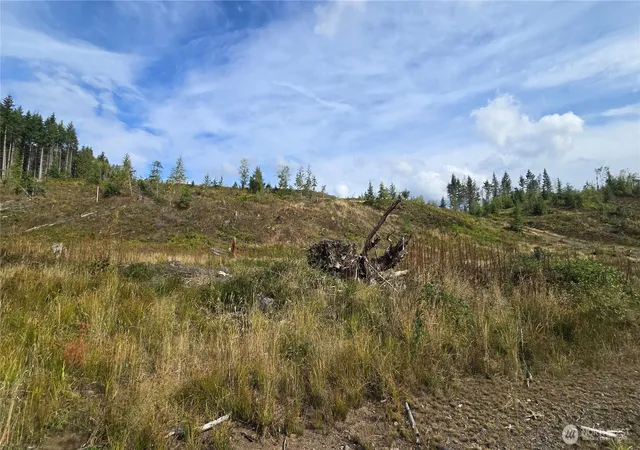 Photo 3 of Land for sale at 0 Ap Tubbs Rd, Carbonado, WA 98321 | MLS# NWM2581432 | Listing updated on 2026-10-01