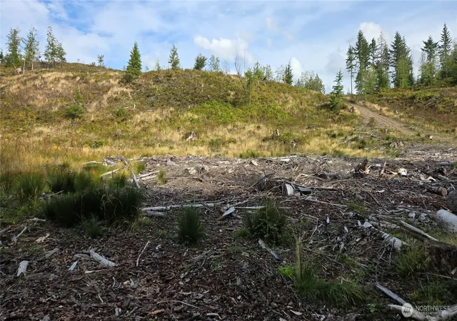Photo 4 of Land for sale at 0 Ap Tubbs Rd, Carbonado, WA 98321 | MLS# NWM2581432 | Listing updated on 2026-10-01