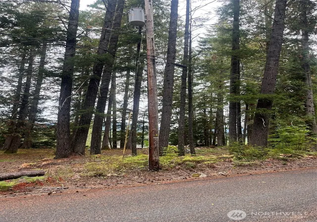 Photo 1 of Land for sale at 10516 000, White Pass, WA 98937 | MLS# NWM2581689 | Listing updated on 2026-10-02
