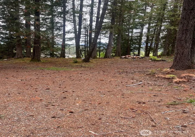 Photo 2 of Land for sale at 10516 000, White Pass, WA 98937 | MLS# NWM2581689 | Listing updated on 2026-10-02