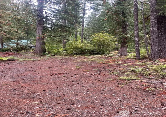 Photo 3 of Land for sale at 10516 000, White Pass, WA 98937 | MLS# NWM2581689 | Listing updated on 2026-10-02