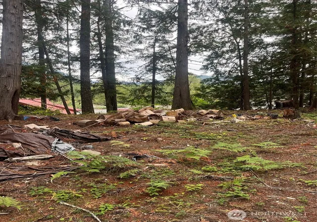 Photo 3 of Land for sale at 10516 000, White Pass, WA 98937 | MLS# NWM2581689 | Listing updated on 2026-10-02