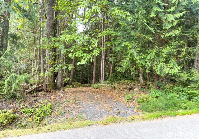 Photo 3 of Land for sale at 124 Goliah Ln, Port Ludlow, WA 98365 | MLS# NWM2581937 | Listing updated on 2026-09-25