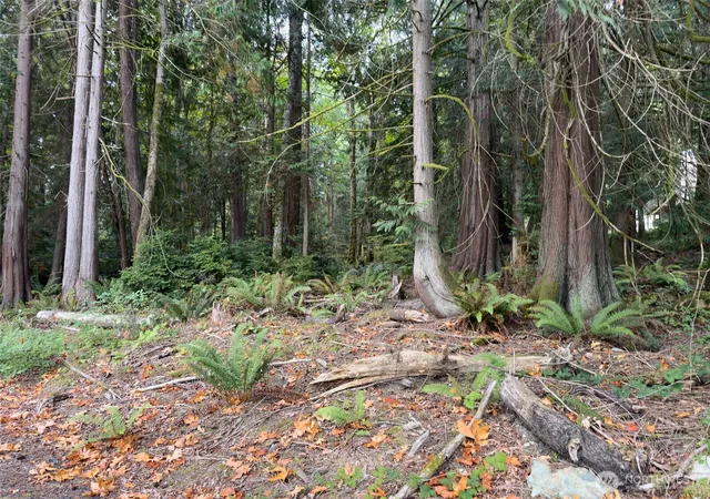 Photo 3 of Land for sale at 124 Goliah Ln, Port Ludlow, WA 98365 | MLS# NWM2581937 | Listing updated on 2026-09-25