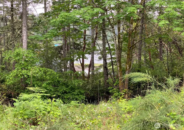 Photo 4 of Land for sale at 11515 189th Avenue NW, Gig Harbor, WA 98329 | MLS# NWM2581944 | Listing updated on 2026-09-25