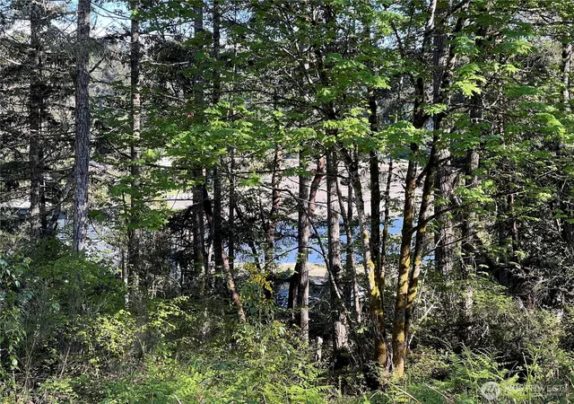 Photo 3 of Land for sale at 11515 189th Avenue NW, Gig Harbor, WA 98329 | MLS# NWM2581944 | Listing updated on 2026-09-25
