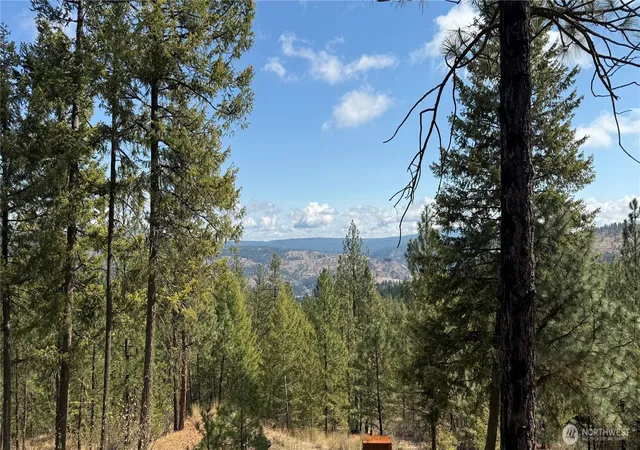 Photo 3 of Land for sale at 0 Xx Larch Rd, Davenport, WA 99122 | MLS# NWM2582378 | Listing updated on 2026-09-30