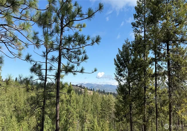 Photo 3 of Land for sale at 0 Xx Larch Rd, Davenport, WA 99122 | MLS# NWM2582378 | Listing updated on 2026-09-30