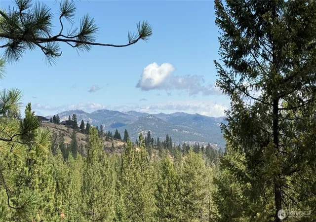 Photo 4 of Land for sale at 0 Xx Larch Rd, Davenport, WA 99122 | MLS# NWM2582378 | Listing updated on 2026-09-30