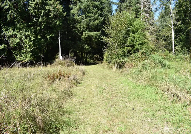 Photo 4 of Sale Pending at 83 N Williams Crk Rd, South Bend, WA 98586 | MLS# NWM2582444 | Listing updated on 2026-09-18