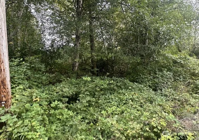 Photo 3 of Land for sale at 1115 123rd Avenue Se, Lake Stevens, WA 98258 | MLS# NWM2582478 | Listing updated on 2026-09-23