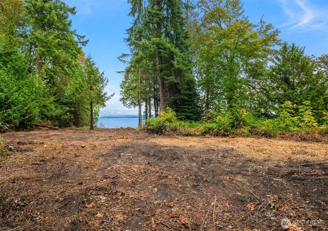 Photo 4 of Sale Pending at 0 Cameron Rd, Camano Island, WA 98282 | MLS# NWM2582737 | Listing updated on 2026-09-20