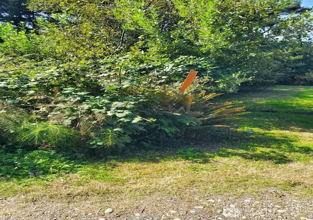 Photo 4 of Land for sale at 61 Sunset St, Moclips, WA 98562 | MLS# NWM2582864 | Listing updated on 2026-09-25