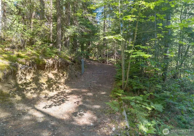 Photo 2 of Land for sale at 100 N Deer Ln W, Hoodsport, WA 98548 | MLS# NWM2583215 | Listing updated on 2026-09-23