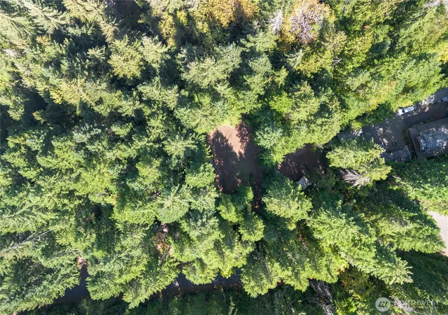 Photo 4 of Land for sale at 100 N Deer Ln W, Hoodsport, WA 98548 | MLS# NWM2583215 | Listing updated on 2026-09-23