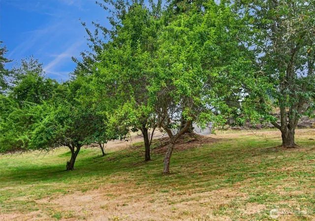 Photo 1 of Sale Pending at 42 Clover St, Cathlamet, WA 98612 | MLS# NWM2583246 | Listing updated on 2026-09-26