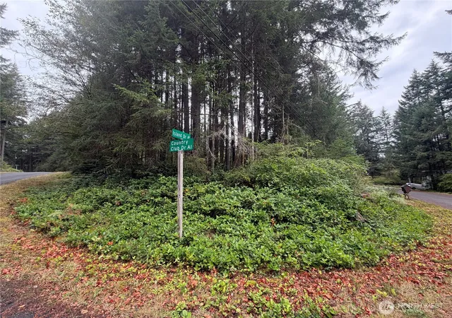 Photo 1 of Land for sale at 11928 Country Clb Dr, Anderson Island, WA 98303 | MLS# NWM2583296 | Listing updated on 2026-09-22