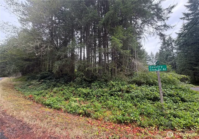 Photo 2 of Land for sale at 11928 Country Clb Dr, Anderson Island, WA 98303 | MLS# NWM2583296 | Listing updated on 2026-09-22