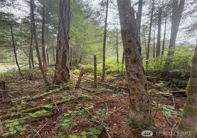 Photo 3 of Land for sale at 11928 Country Clb Dr, Anderson Island, WA 98303 | MLS# NWM2583296 | Listing updated on 2026-09-22