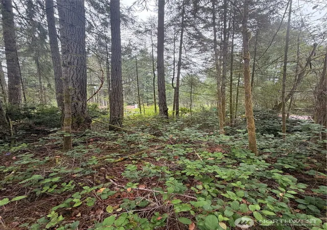 Photo 3 of Land for sale at 11928 Country Clb Dr, Anderson Island, WA 98303 | MLS# NWM2583296 | Listing updated on 2026-09-22