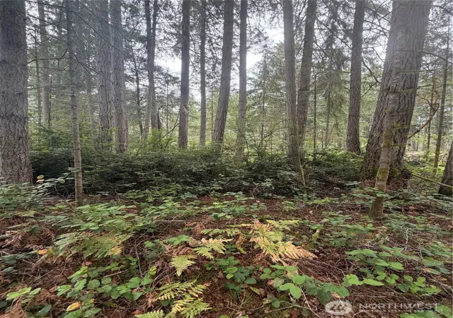 Photo 4 of Land for sale at 11928 Country Clb Dr, Anderson Island, WA 98303 | MLS# NWM2583296 | Listing updated on 2026-09-22