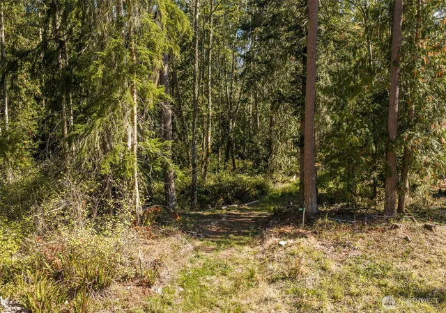 Photo 1 of Land for sale at 144 Took A Look Ln, Sequim, WA 98382 | MLS# NWM2583559 | Listing updated on 2026-09-22